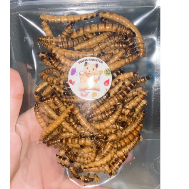 30g Sâu Đại sấy