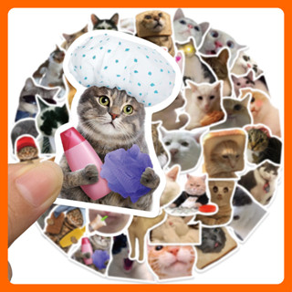 Set hình dán 50 miếng sticker mèo cún kuromi con vật cỡ to cute trang trí mũ laptop đồ dùng đa năng quà tặng đẹp rẻ