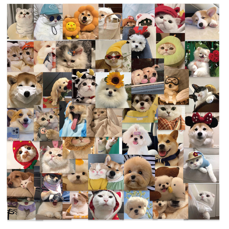 Set hình dán 50 miếng sticker mèo cún kuromi con vật cỡ to cute trang trí mũ laptop đồ dùng đa năng quà tặng đẹp rẻ