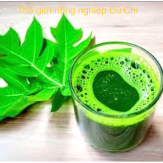 500gram lá đu đủ
