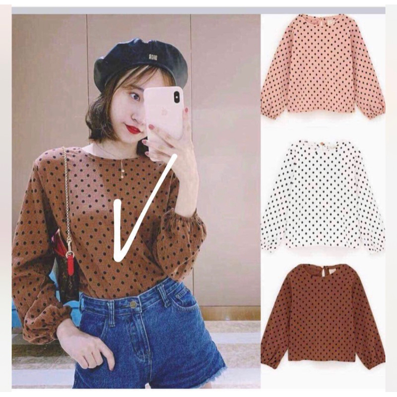 Áo kiểu auth các hãng