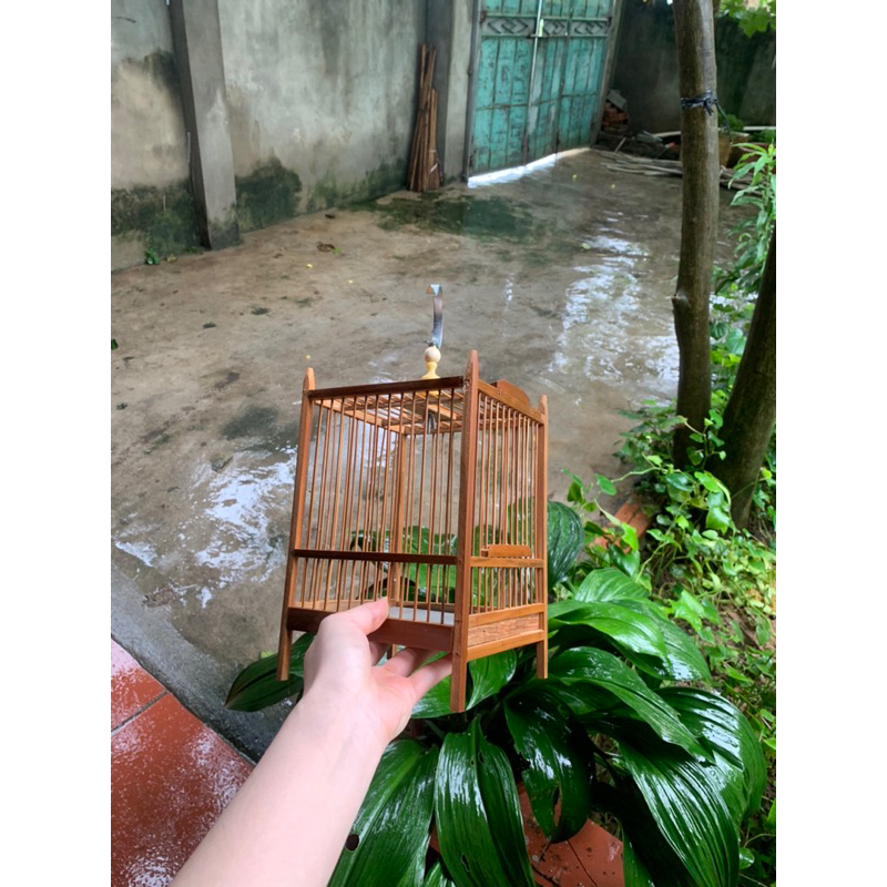 Khung lồng chim khuyên, chim hút mật hình vuông mini, kích thước 16, chất liệu trúc - Lồng Chim Tự Ráp Thế An