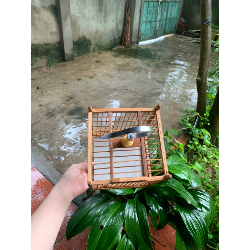 Khung lồng chim khuyên, chim hút mật hình vuông mini, kích thước 16, chất liệu trúc - Lồng Chim Tự Ráp Thế An