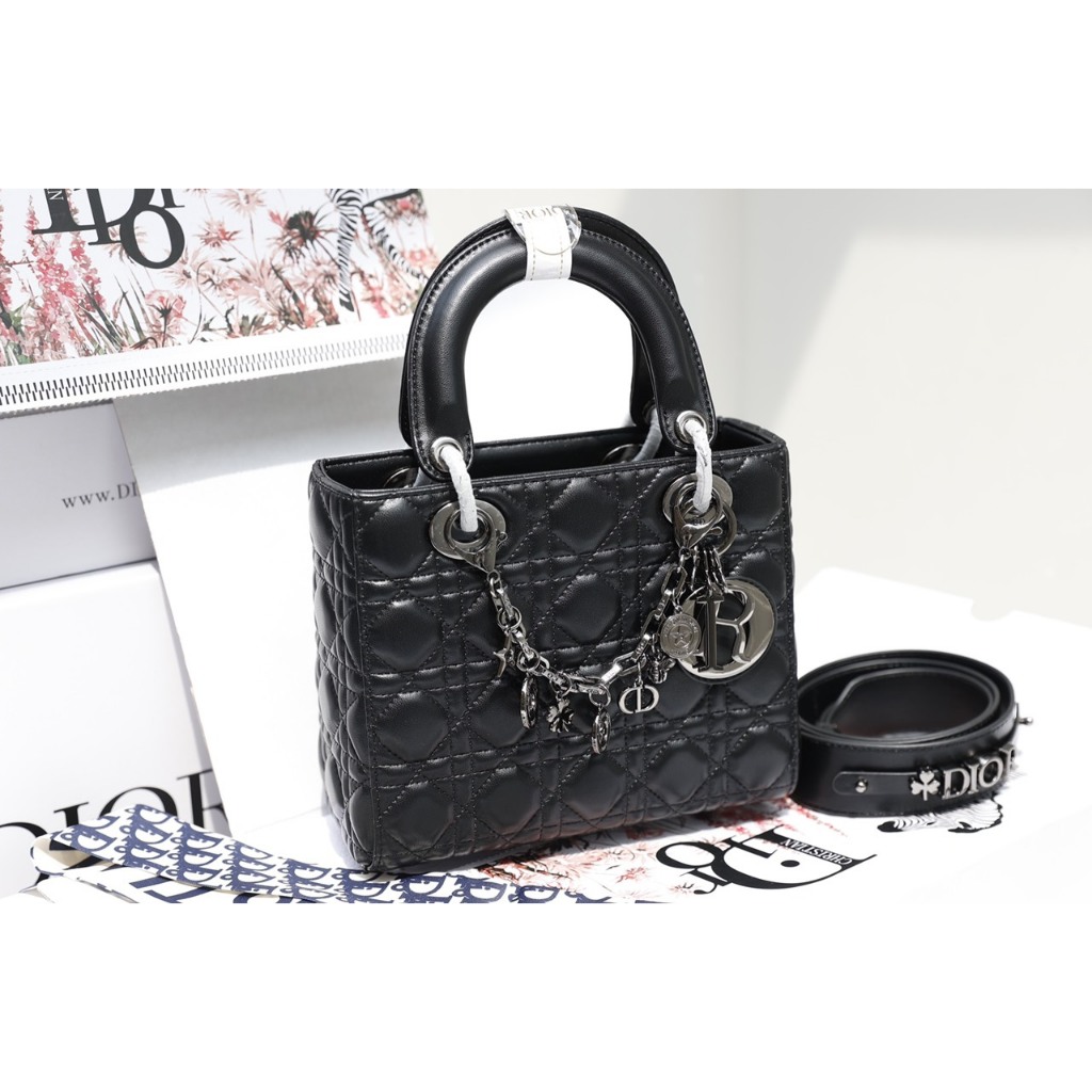 TÚI CD LADY CHARM SZ20