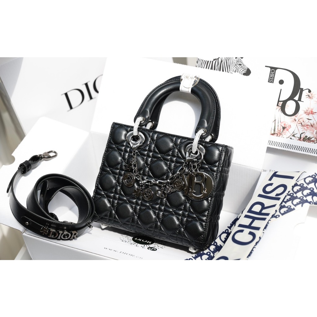 TÚI CD LADY CHARM SZ20