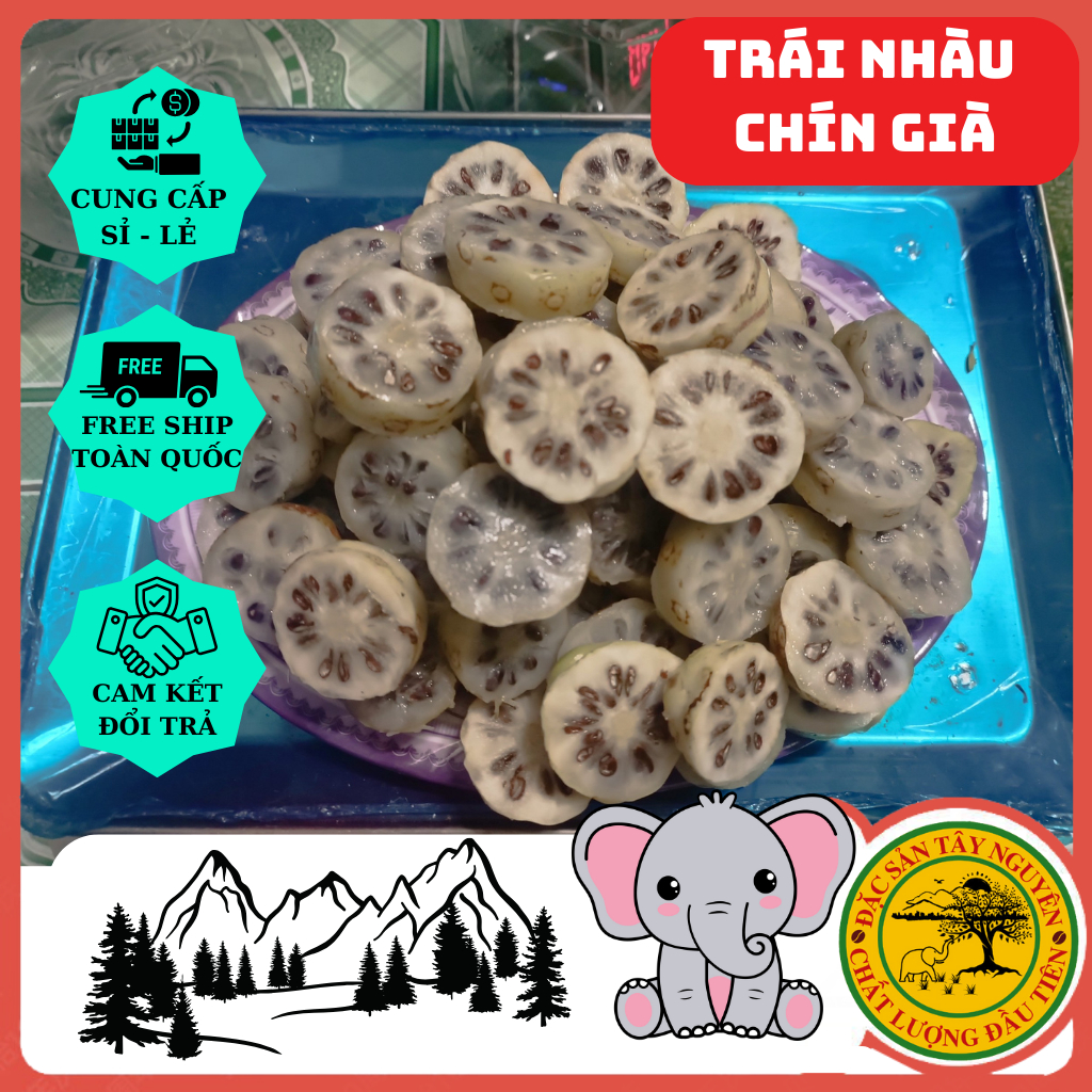 Trái Nhàu Tươi Ngâm Đường Phèn. Bình Lớn 2.5kg .Hỗ trợ đường tiêu hóa - giảm đau nhức xương khớp