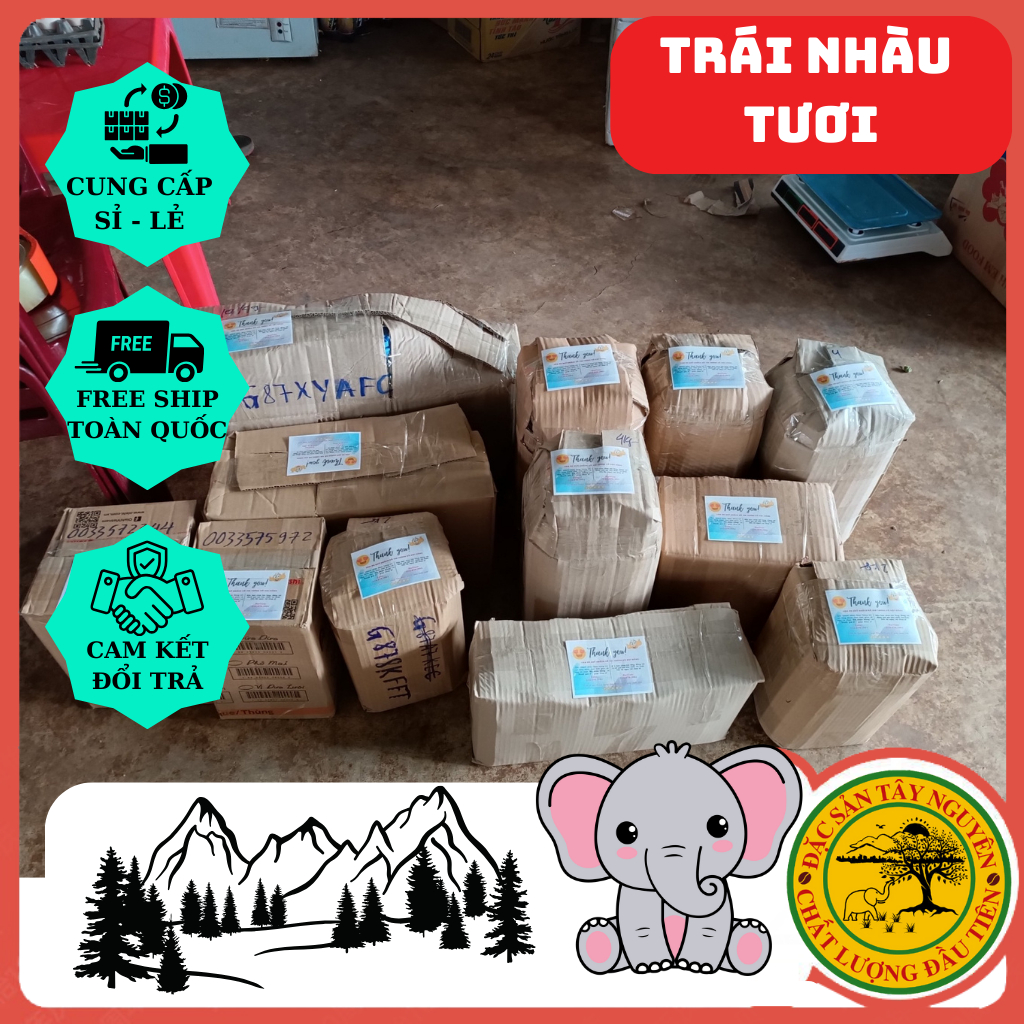 Trái Nhàu Tươi Ngâm Đường Phèn. Bình Lớn 2.5kg .Hỗ trợ đường tiêu hóa - giảm đau nhức xương khớp