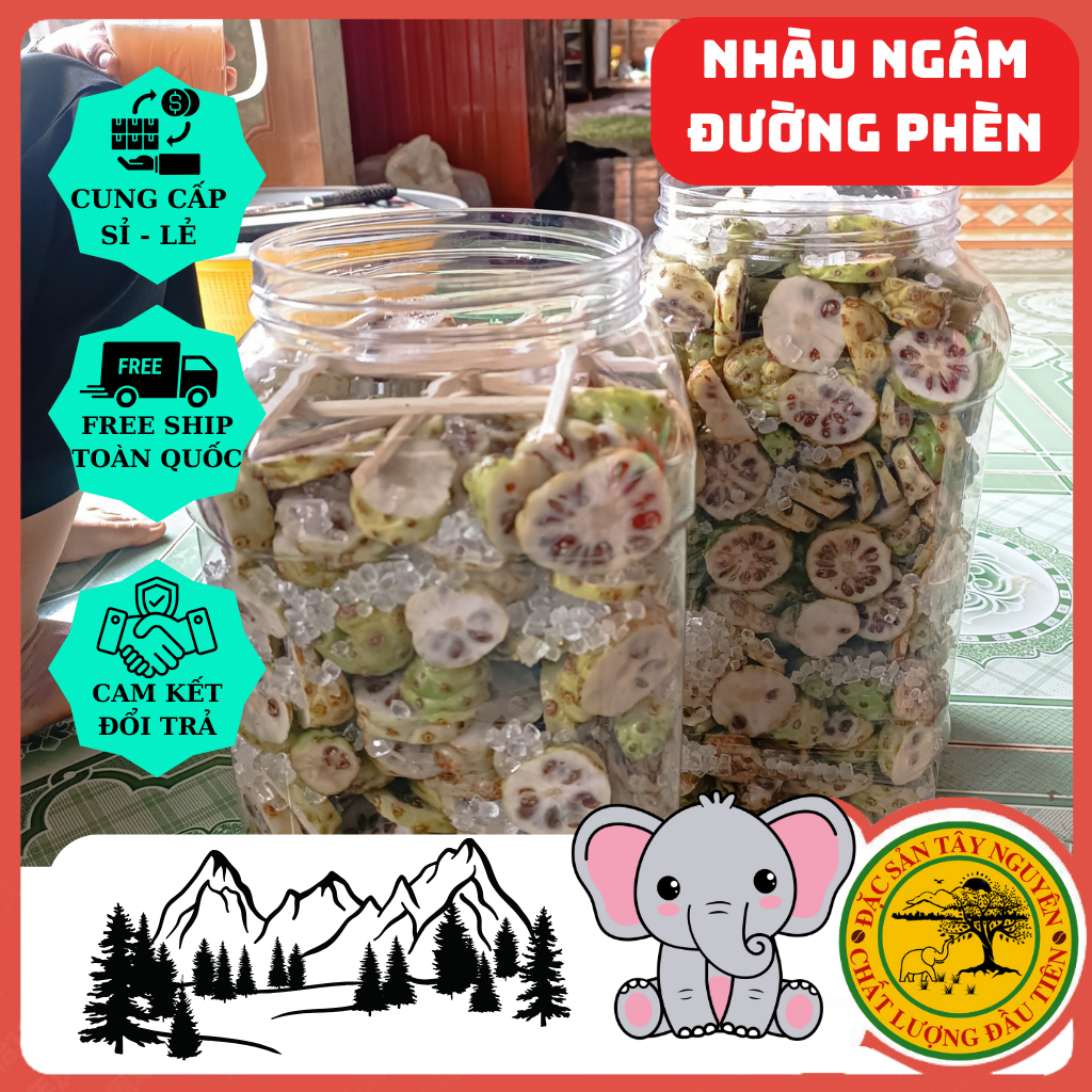 Trái Nhàu Tươi Ngâm Đường Phèn. Bình Lớn 2.5kg .Hỗ trợ đ.ường t.iêu h.óa - g.iảm đau nhức x.ương k.hớp,