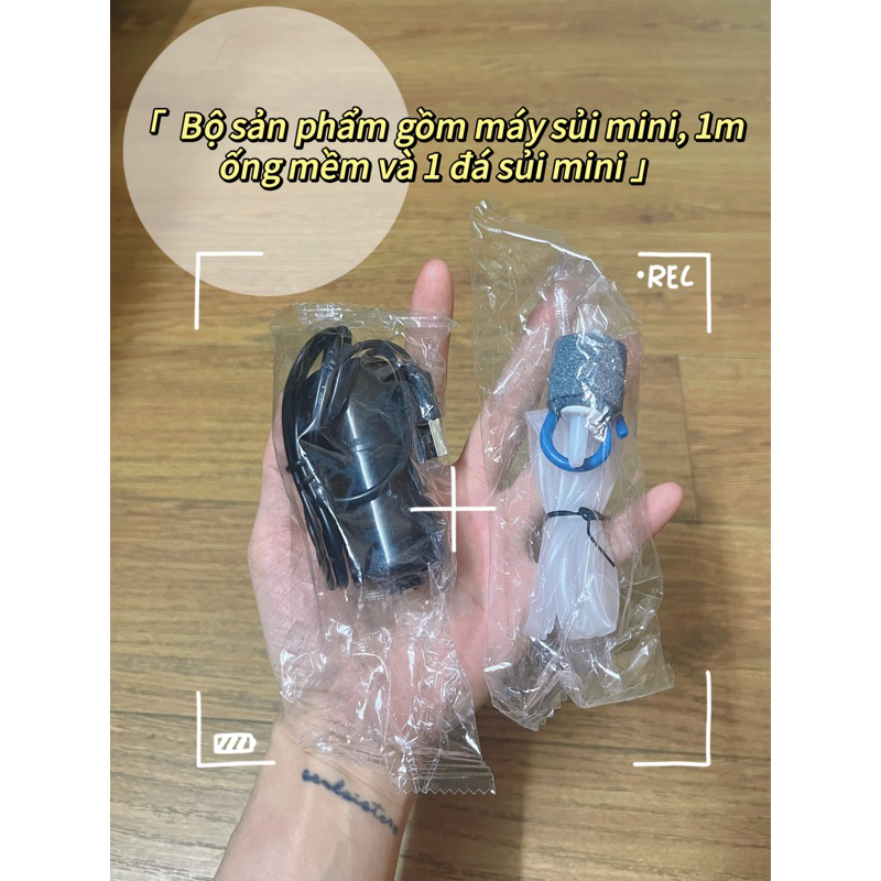 Máy Sủi Oxy Mini Kết Nối USB - Sục Khí Oxi Cho Bể Cá Cảnh Siêu Êm Và Nhẹ