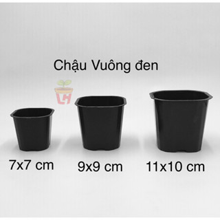 Combo 50/100 chậu nhựa vuông đen mini Cứng ươm cây, trồng sen đá xương rồng, tiểu cảnh