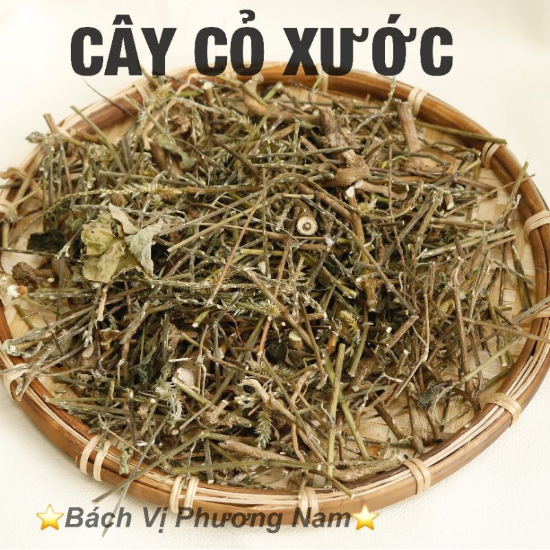 Cây Cỏ Xước Khô 1Kg  - Bách Vị Phương Nam