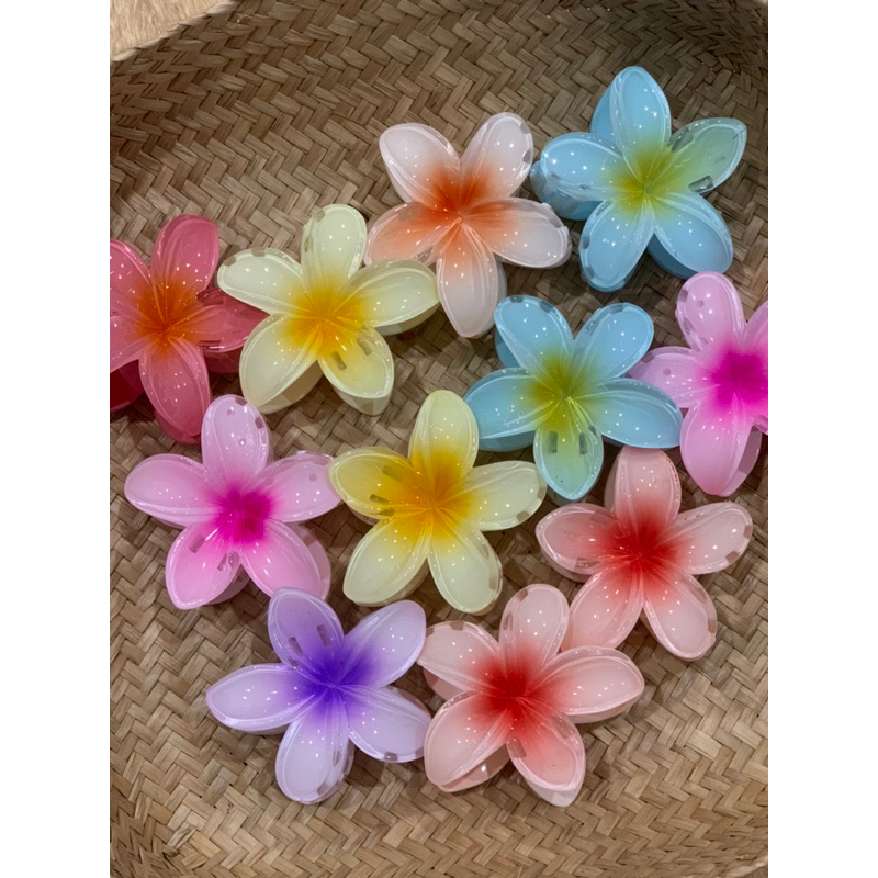 Hibiscus hair claw - Kẹp tóc bông hoa