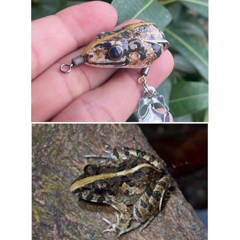 Nhái hơi VV35 Màu Nhái siêu nhạy 3.5cm, 8gram Lững