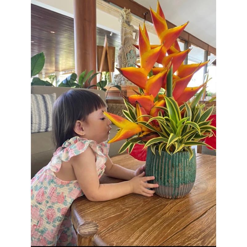 Bộ liền thân hoa hồng vai bèo chun Tiệm Su Kids