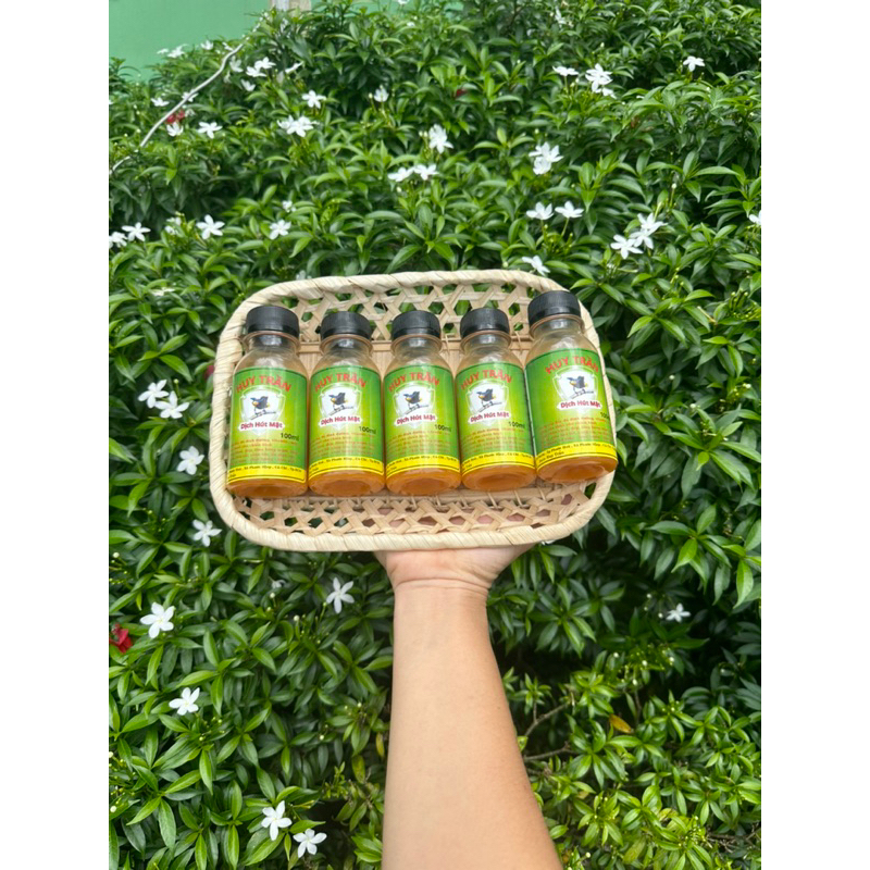 Combo 5 chai dịch căng lửa cho chim hút mật Huy Trần