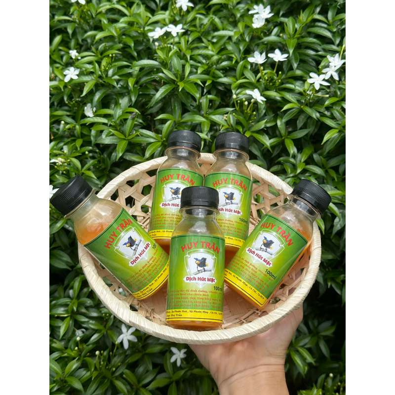 Combo 5 chai dịch căng lửa cho chim hút mật Huy Trần