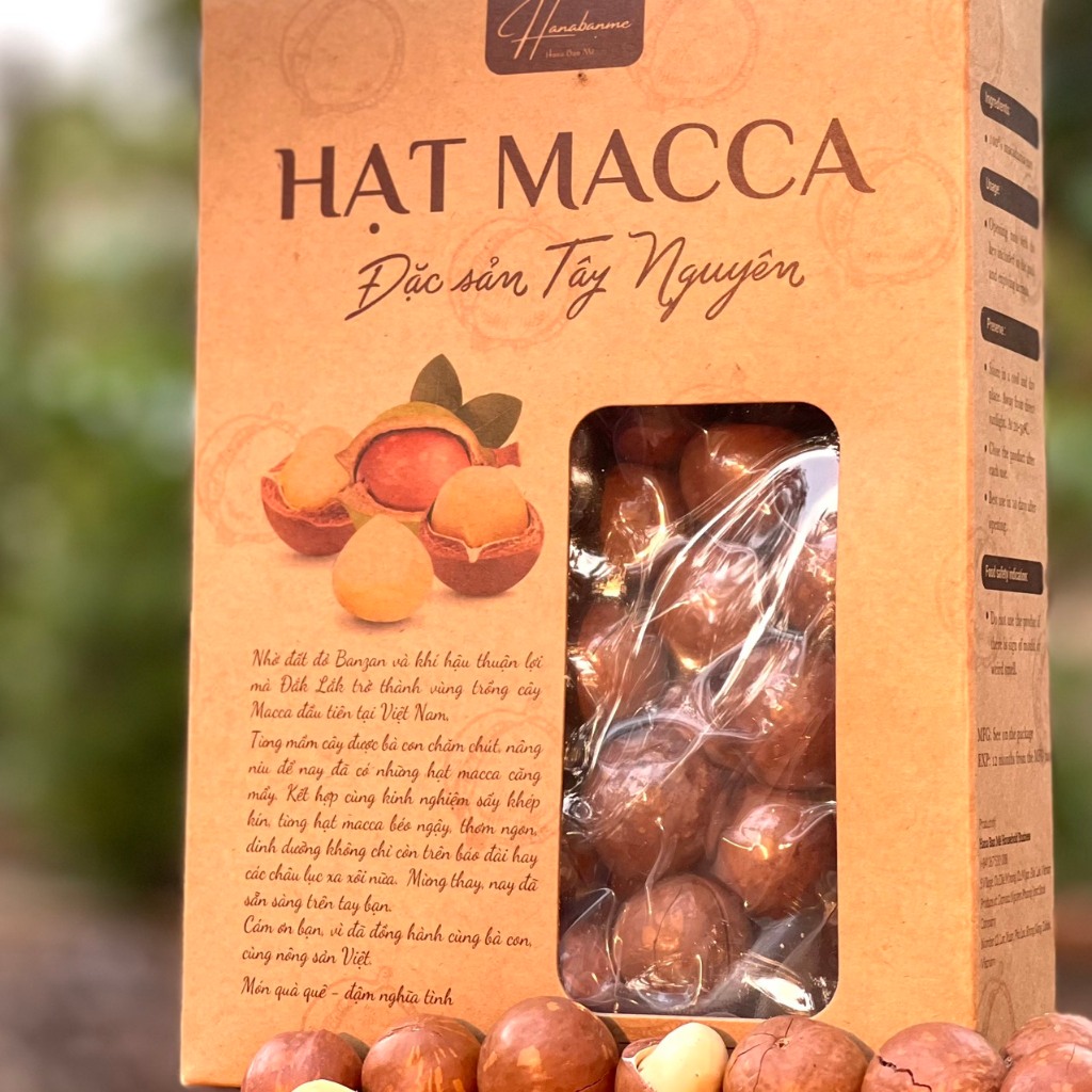 Hạt Macca Đắk Lắk nứt vỏ size trung Hana Ban Mê