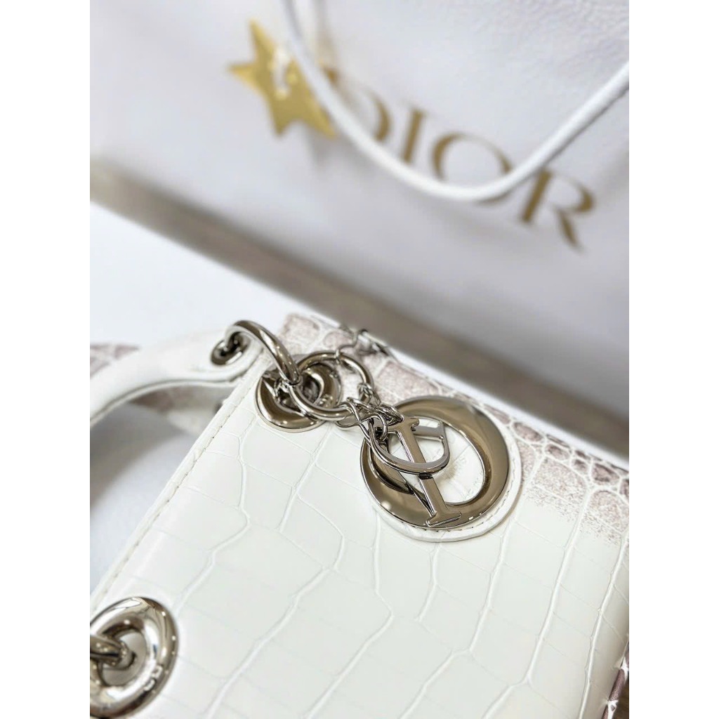 TÚI CD LADY BẠCH TẠNG SZ18-20