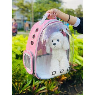 Balo phi hành gia đựng chó mèo