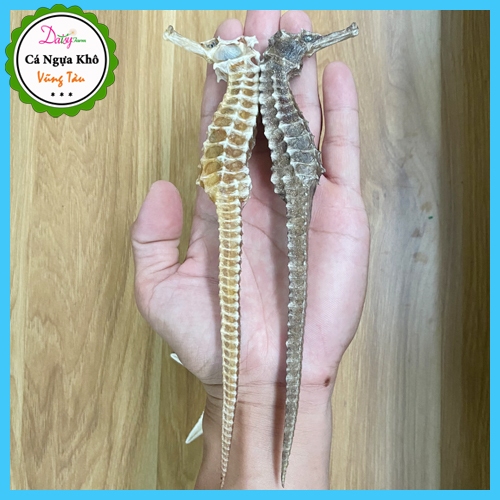 Cá Ngựa Khô Vũng Tàu Size ĐẠI 16 - 20 Cm  do Tàu Cá Nhà Mình Đánh Bắt