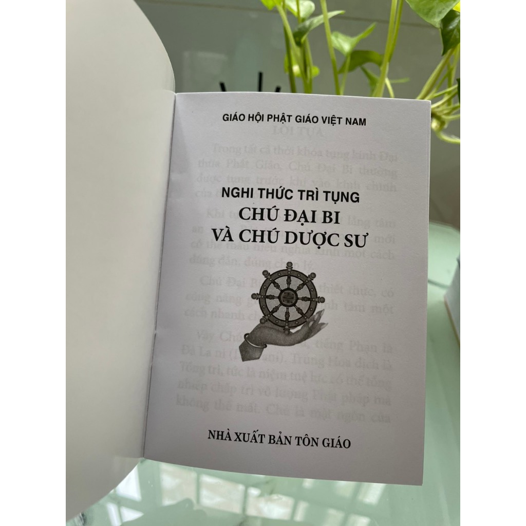 Nghi Thức Trì Tụng Chú Đại Bi & Chú Dược Sư