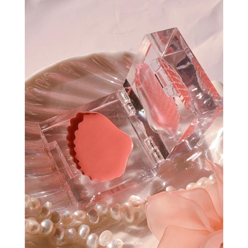 Son dưỡng vỏ sò Dasique