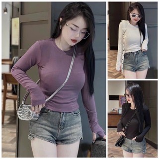 Áo thun, áo dài tay chất liệu thun tăm co giãn mạnh kiểu dáng basic ôm người tôn dáng dễ mặc dễ phối đồ