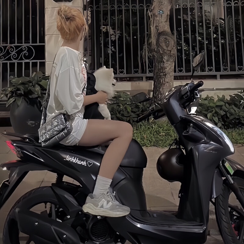 TÊN DÁN XE THEO YÊU CẦU