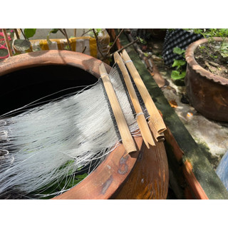 Bộ câu giăng cá lăng, cá trê, cá chạch lấu, cá lóc... 200 lưỡi, dài 220m lưỡi ó 4