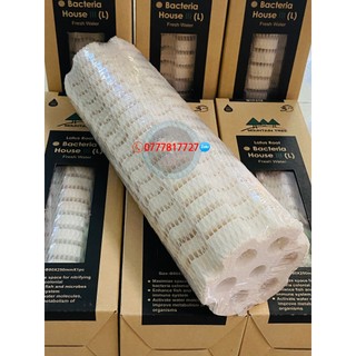 Sứ lọc thanh củ sen thế hệ 3 cỡ to 8x25cm Mountain Tree Lotus Root Bacteria House