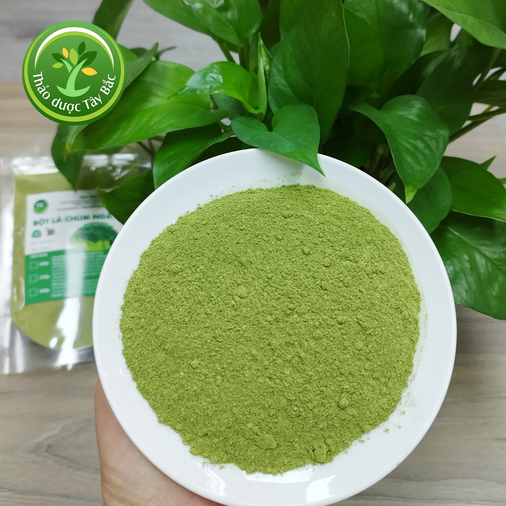 Bột lá chùm ngây Ninh Thuận, bổ sung vitamin và dưỡng chất, chống suy nhược cơ thể  I Kho thảo dược Tây Bắc