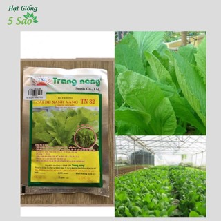 Cải Bẹ Xanh Vàng TN 32 ( 100g )