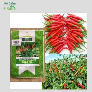 Ớt Hiểm Lai F1 RĐ 789