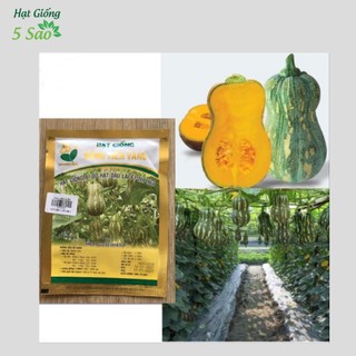 Bí Đỏ Hạt Đậu Lai F1 - TLP 868 ( 23 gr ) ~ 200 hạt Đồng Tiền Vàng