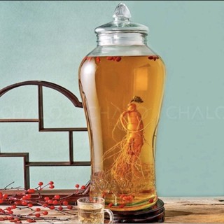 Bình Ngâm Rượu Sâm Thủy Tinh loại 6 lít, 10 lít và 15 lít Có Vòi và Không Vòi