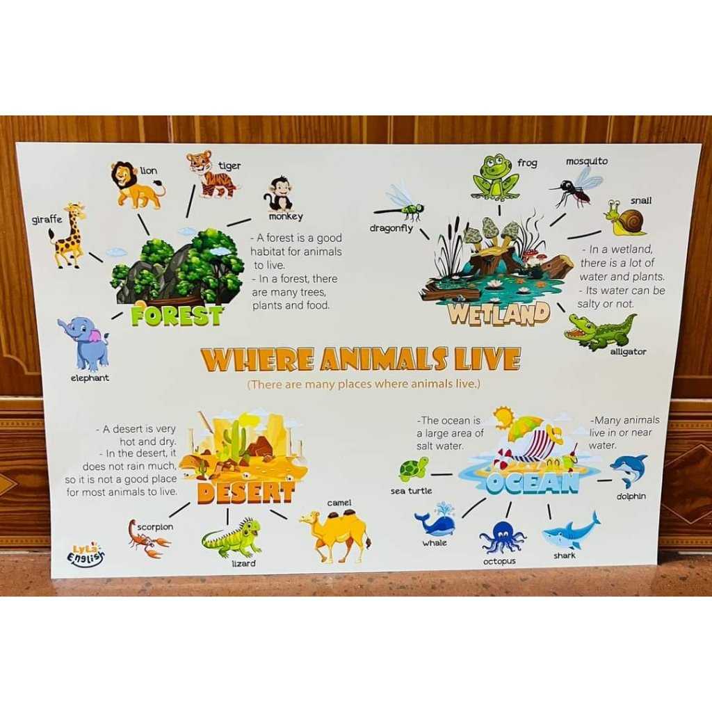 Thuyết trình tiếng Anh theo sơ đồ tư duy” gồm 46 chủ đề-Happufunny