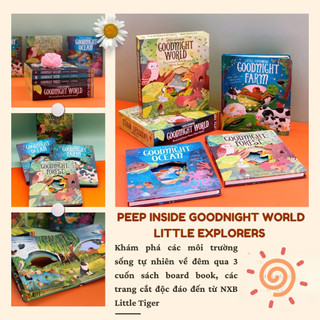 Peep Inside Goodnight World Little Explorers series 3 Books Collection Set by Little Tiger Đồ dạng khám phá cho bé
