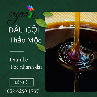 PHÔI DẦU GỘI THẢO MỘC