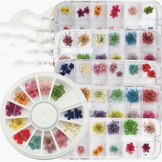 Hoa khô ẩn gel móng tay,Hoa khô làm nail