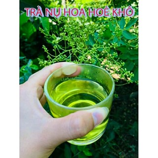 Trà hoa hoè /hoa hoè khô 100g