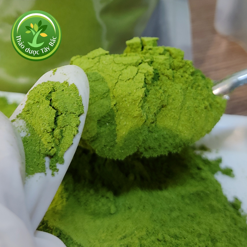 Bột lá chùm ngây Ninh Thuận, bổ sung vitamin và dưỡng chất, chống suy nhược cơ thể  I Kho thảo dược Tây Bắc