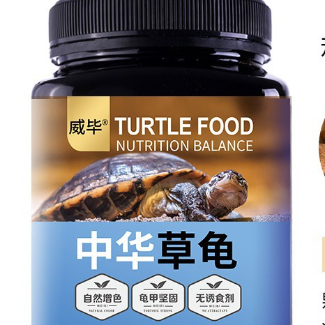 Thức Ăn Đặc Biệt Cho Rùa Cưng
