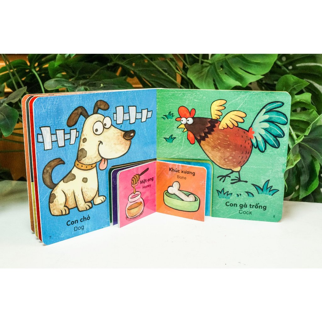 Sách - bộ sách to ôm sách nhỏ dành cho trẻ 3-6 tuổi - Đinh Tị Books