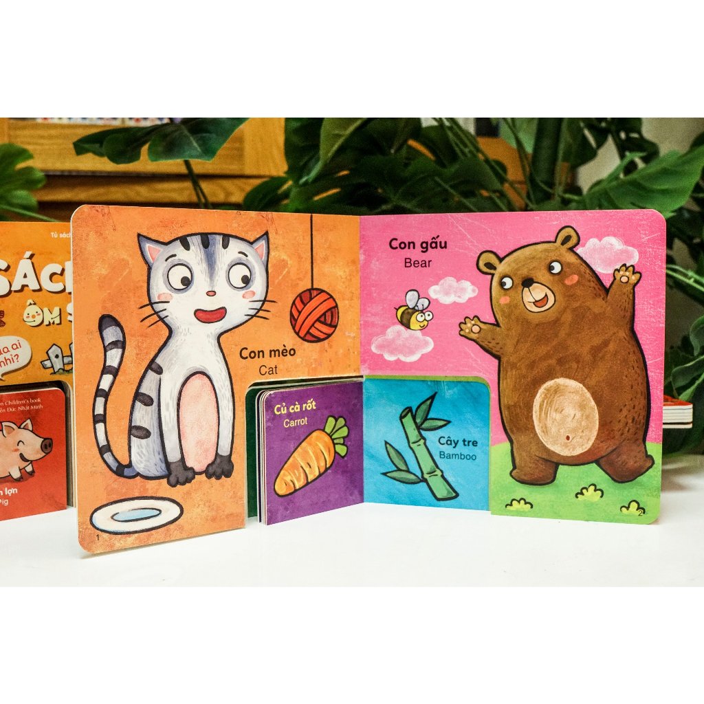 Sách - bộ sách to ôm sách nhỏ dành cho trẻ 3-6 tuổi - Đinh Tị Books