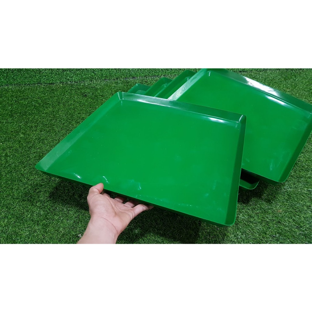 Combo 5 khay xanh 50-50-3cm đựng nước trồng lan ươm giống Và lót chuồng thú cưng