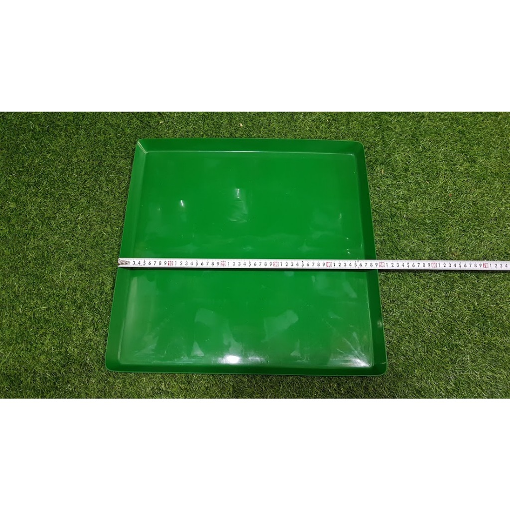 Combo 5 khay xanh 50-50-3cm đựng nước trồng lan ươm giống Và lót chuồng thú cưng