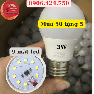 Combo 50 bóng led 3w