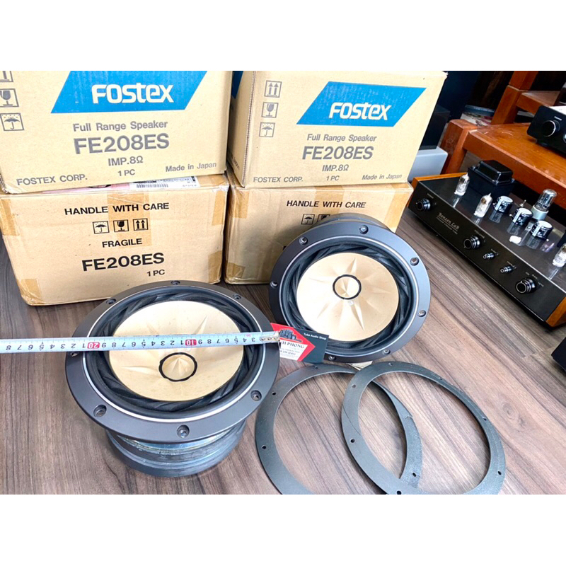 Loa toàn dãi Fostex FE208ES từ đôi