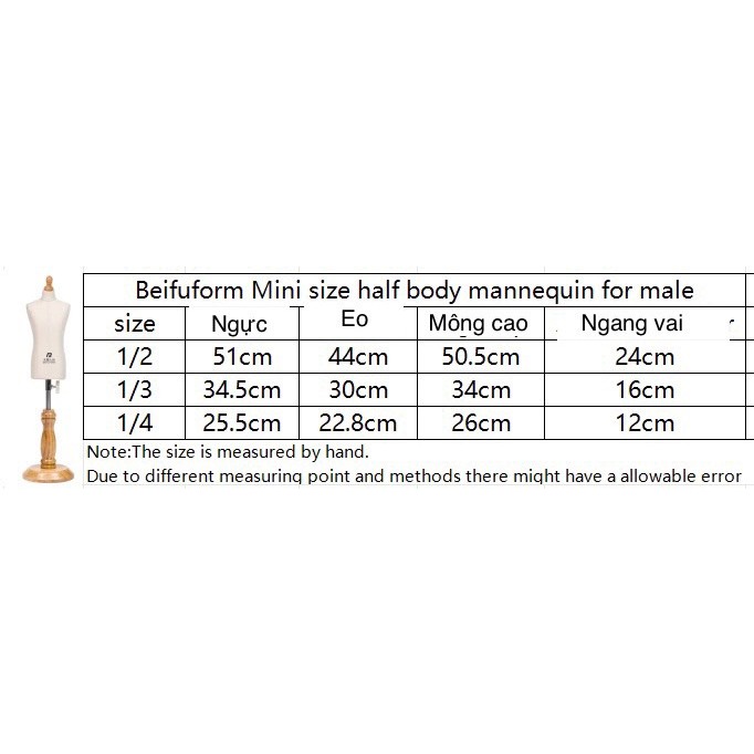 Manocanh thiết kế Beifu Mini - NAM