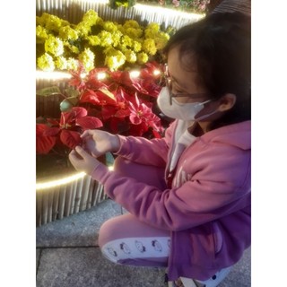 Compo bé 2hand nhật hàn khách chốt live